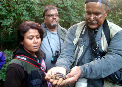 লাউয়াছড়ায় ১৪ কোটি বছর প্রাচীন প্রজাতির জীবন্ত প্রাণী! by ফেরদৌস আহমেদ