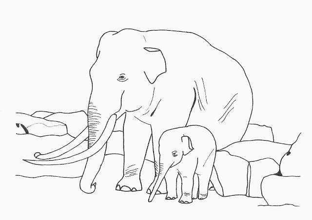 Elephant Mom Baby Coloring Drawing Free wallpaper