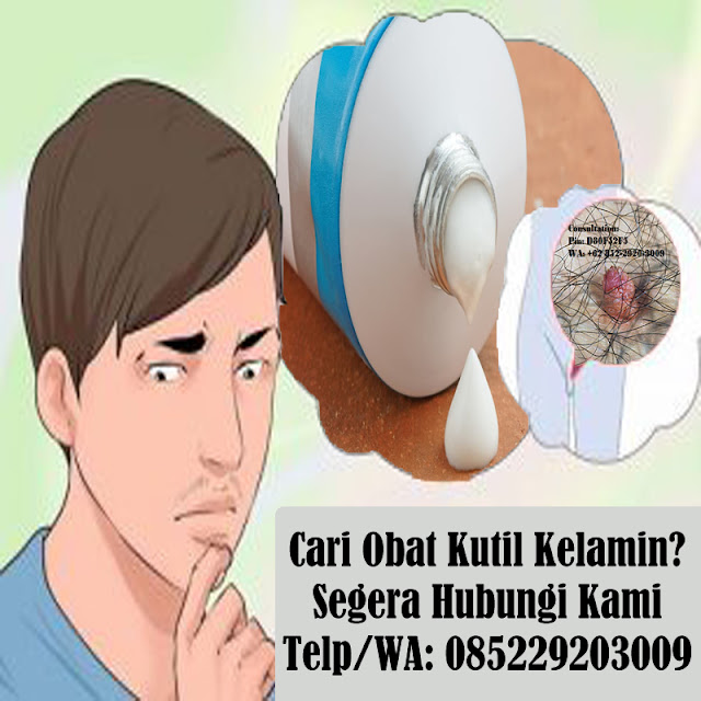 Obat Kutil Kelamin