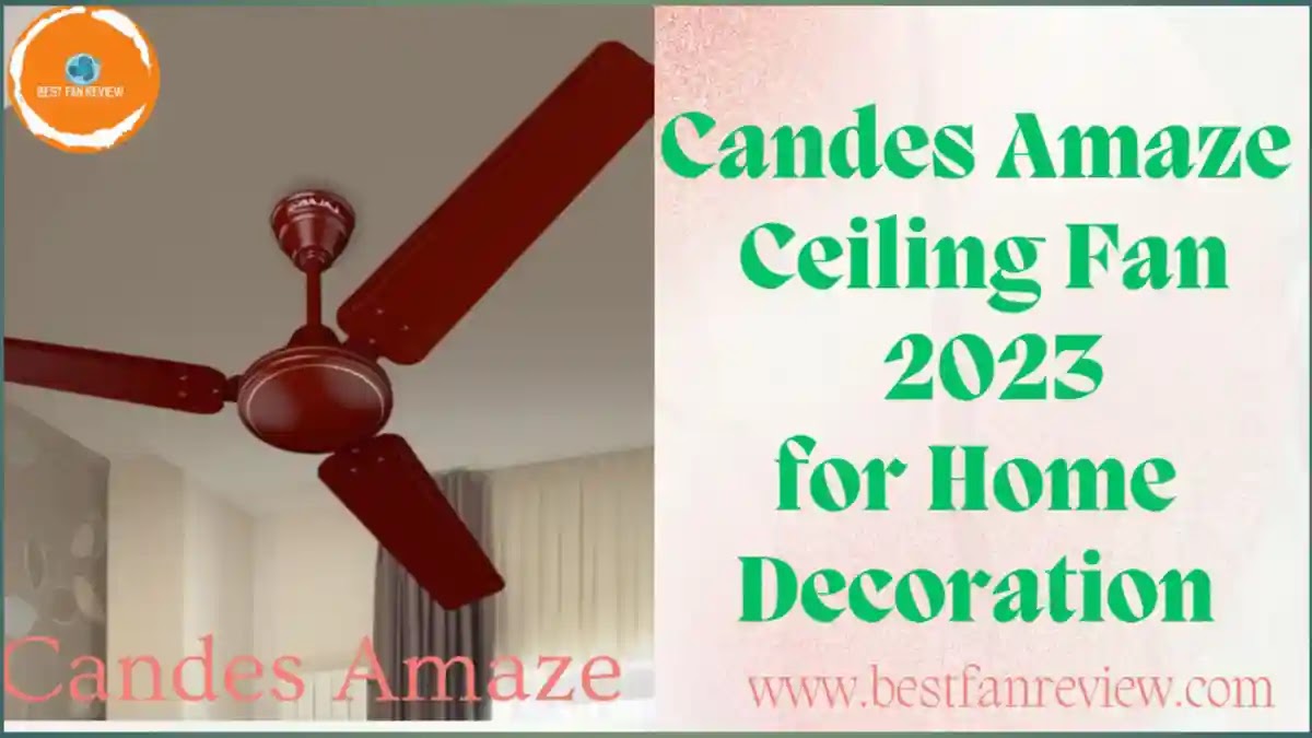 Discover, Google Discover, Candes Amaze 900mm /36 inch High Speed Anti-dust Decorative Ceiling Fan