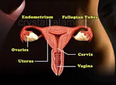 Cara merawat vagina setelah melahirkan