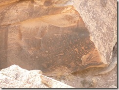 P1020019