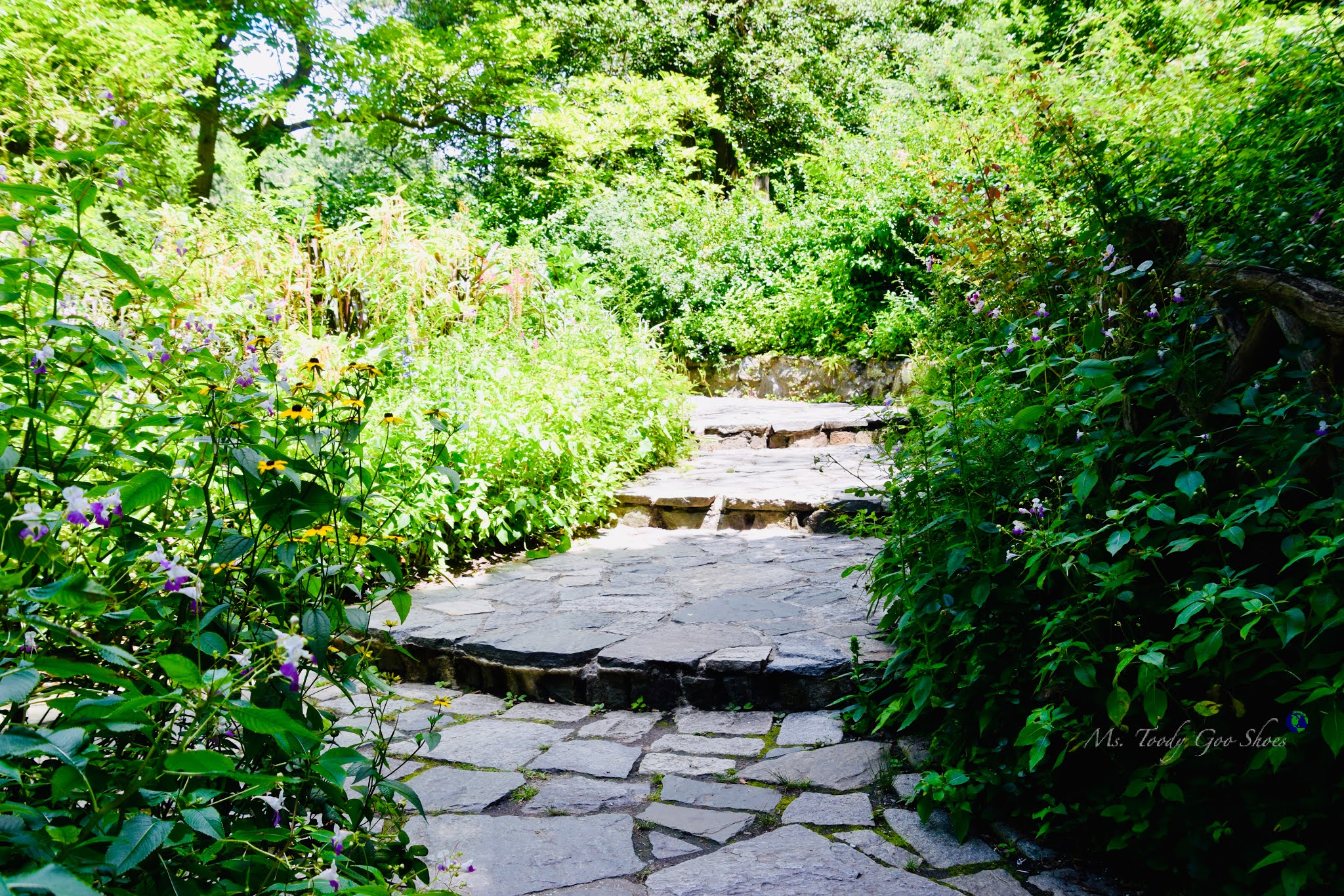 Shakespeare Garden in Central Park is a "must see" when visiting NYC in spring or summer. Ms Toody Goo Shoes #mycentralpark