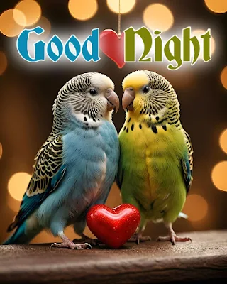 special good night quotes