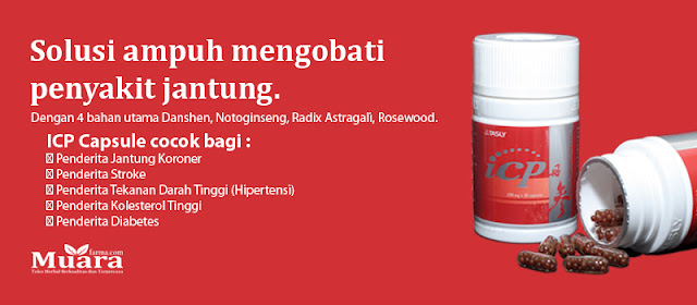 Obat Herbal Jantung Koroner Akut, obat jantung koroner alami,  ICP Capsule