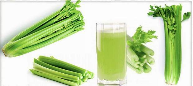 The Alkalizing Health Benefits of Celery | Healthy Lifestyle Articles