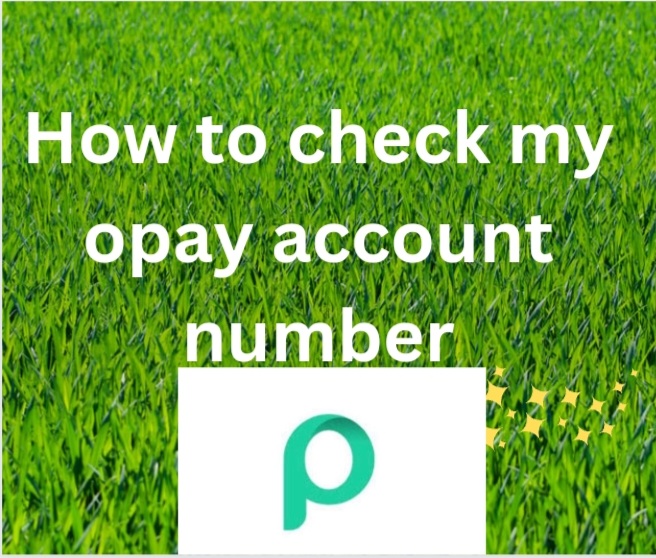 How to check my opay account number