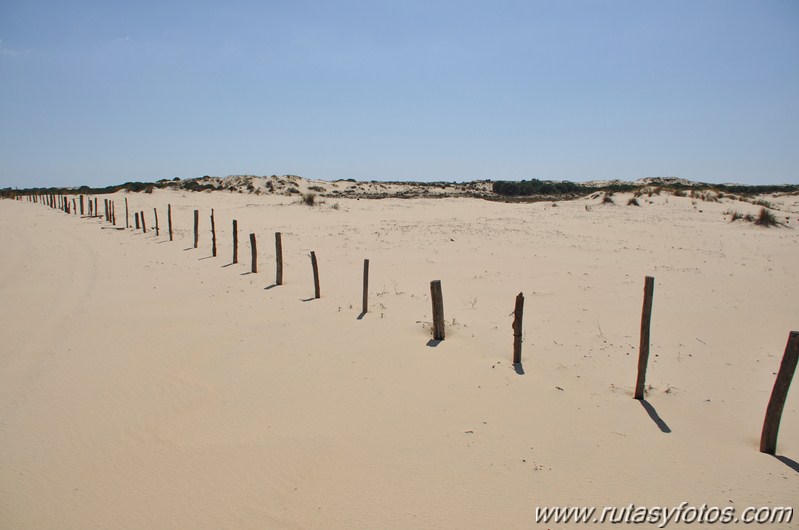 Parque Nacional de Doñana