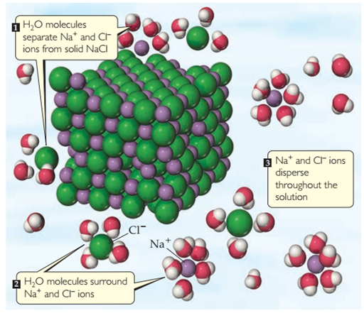 Cuando un compuesto iónico, como el cloruro de sodio, NaCl, se disuelve en agua, las moléculas de H2O separan, rodean y dispersan uniformemente los iones en el líquido.