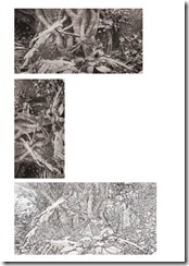 hedgerow 9 copy