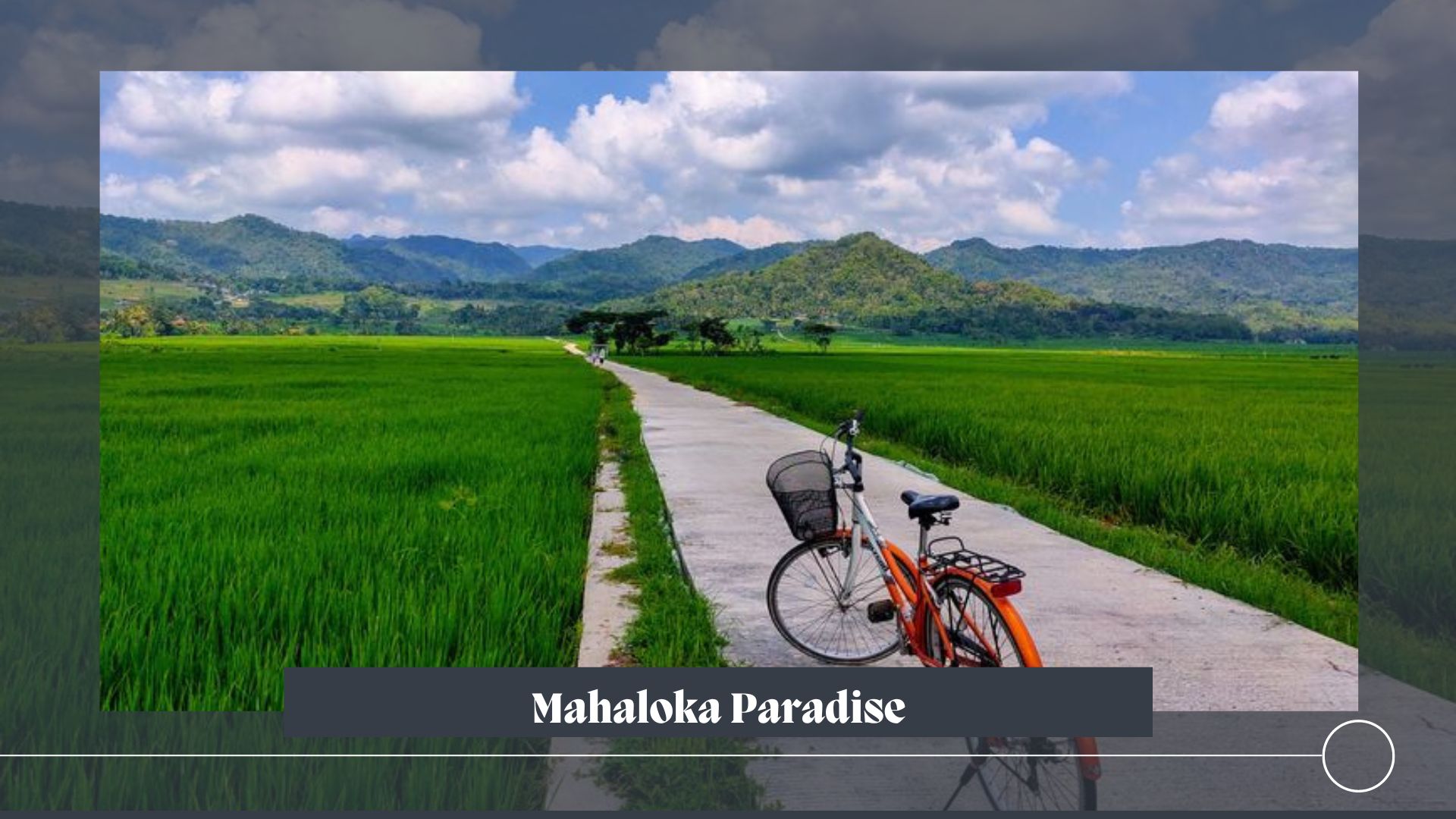 Mahaloka Paradise merupakan sebuah restoran yang menghadirkan suasana alam. Para tamu yang berkunjung akan dimanjakan dengan pemandangan hamparan sawah dan perbukitan Menoreh.  Mahaloka Paradise berada di Pronosutan View. Hamparan persawahan ini terletak di Dusun Pronosutan, Desa Kembang, Kecamatan Nanggulan, Kabupaten Kulon Progo, Yogyakarta.