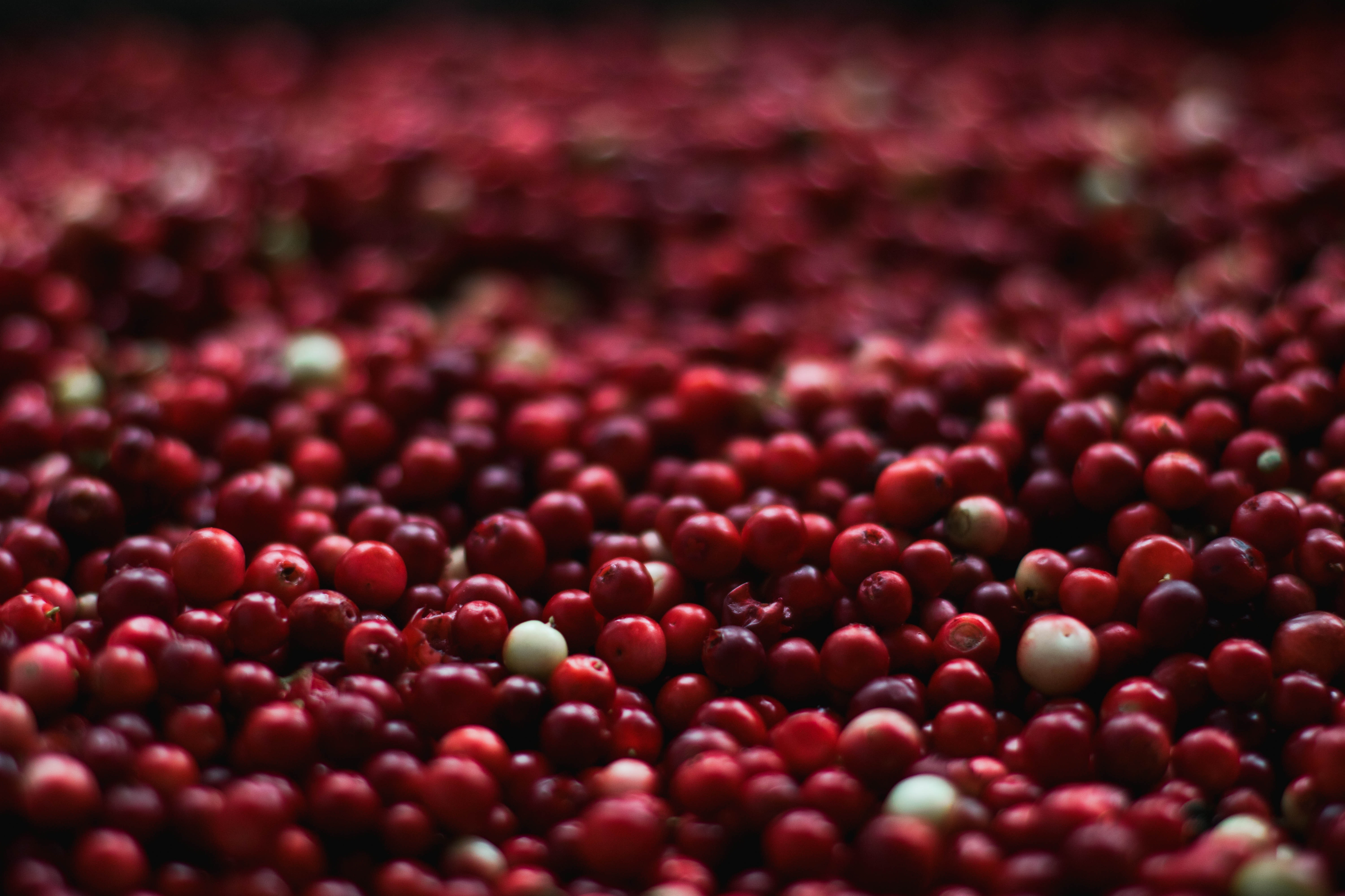 Cranberries: Benefits, nutrition, and risks