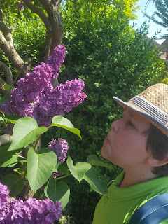 Dan Jon taking some time out to smell the flowers on a neighbours tree