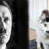 Kasihan, Kucing ini Disiksa karena Mirip Hitler