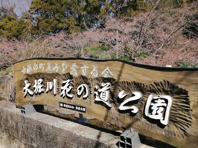 宝塚の桜の名所（その１）～小浜の大堀川花の道公園～