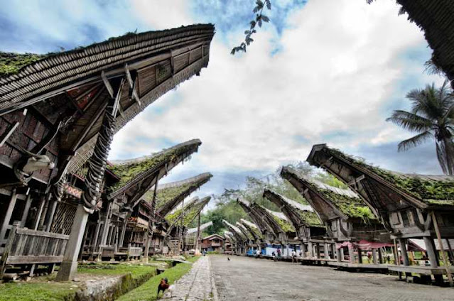 7 Tempat Wisata di Toraja Paling Populer Yang Wajib Kamu Kunjungi