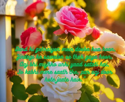 Kabhi Hansi Toh Kabhi Rone Ki Zid Hai,Emotional Dard Vari Shayari
