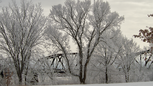 Frozen fog in Fredericton, New Brunswick