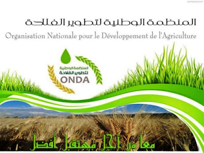 L'organisation nationale pour le développement de l’agriculture recrute (Algérie) 