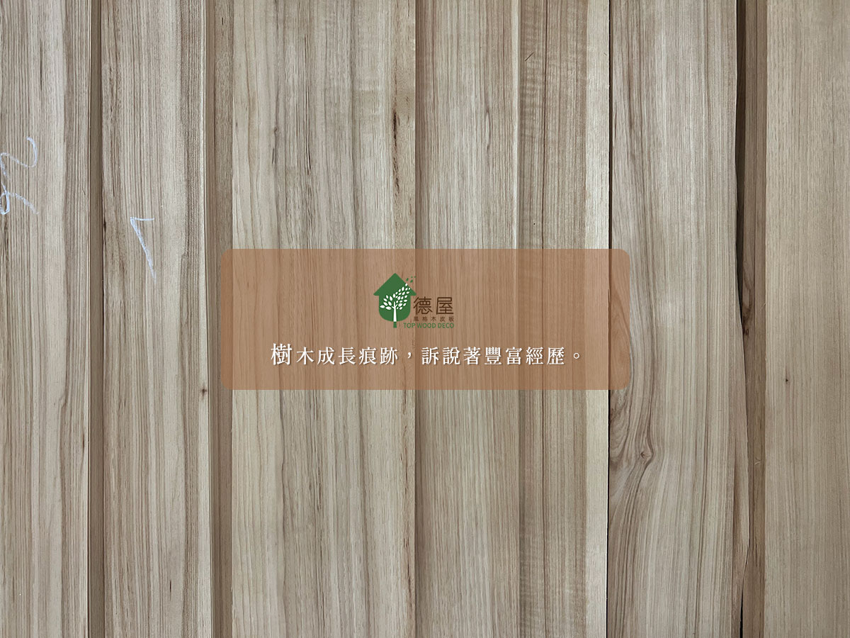 秋海棠(山胡桃木)紋理的多變中，富有內涵的知性美，緩緩訴說著森林中所發生的故事。