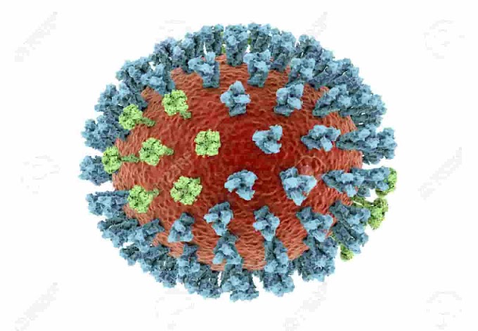 Influenza variante H1N2v confirmada em Taiwan