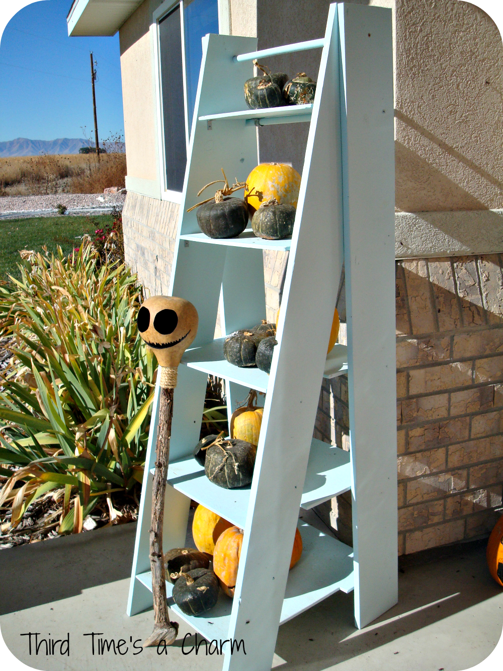 wood ladder shelf