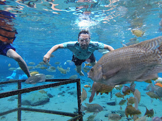 snorkling di umbul ponggok