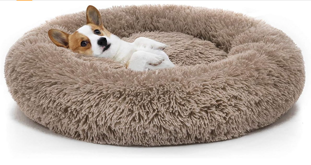 MIXJOY's Orthopedic Dog Bed for Chihuahuas