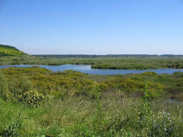 Reserva natural de Srebarna Bulgaria