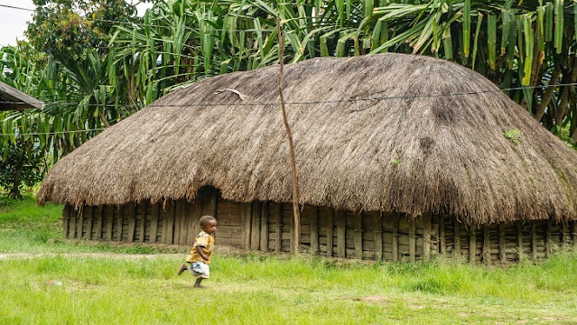 Traditional Papuan House