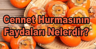 Cennet hurması faydaları