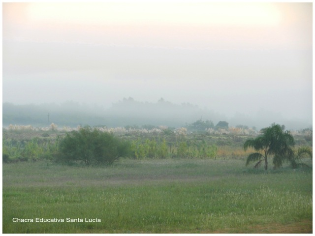 Niebla cubriendo el terreno en una mañana de invierno- Chacra Educativa Santa Lucía