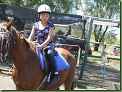 Horse riding ONLY 008