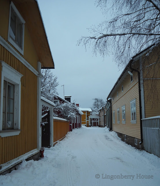 lingonberryhouse, mantle of snow, lumi, talvi, winter,naapurusto, neighborhood