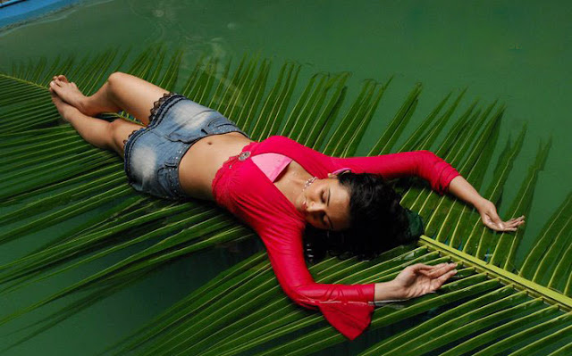 Priyanka Kothari wet thigh show