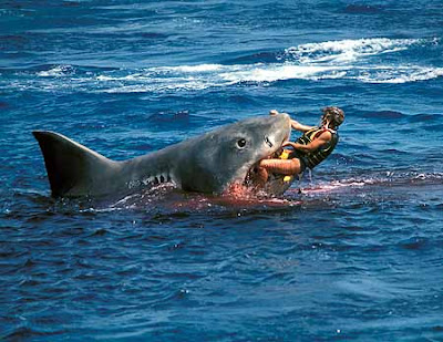 Great White Shark Attacks Person