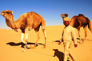 In memory of Lasfar Camel (egyt and tunisia )