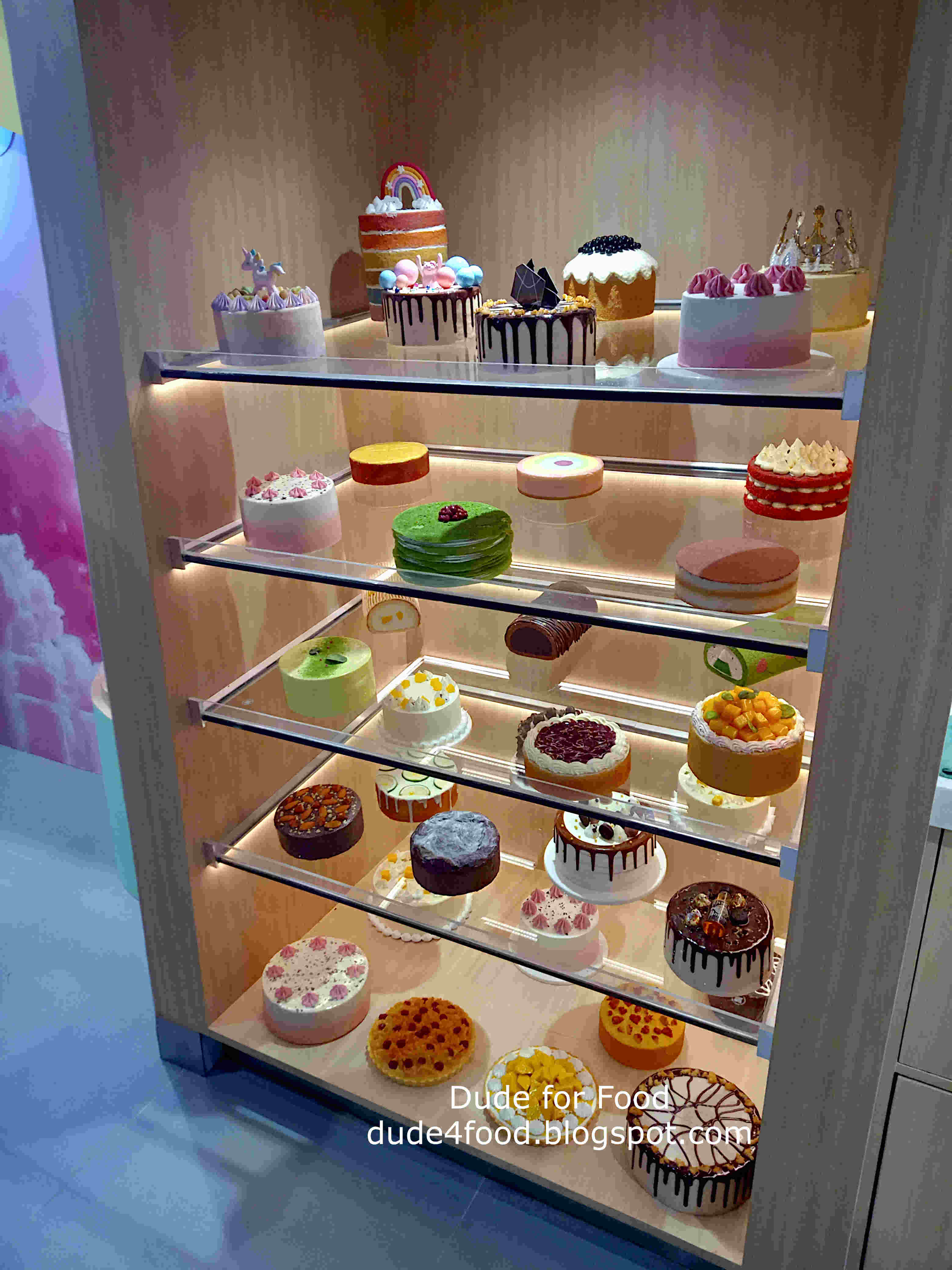 Medium Sized Bakery Display Cases
