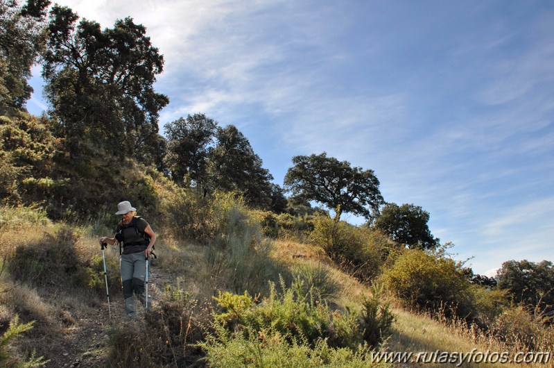 Subida al Cerro Malaver