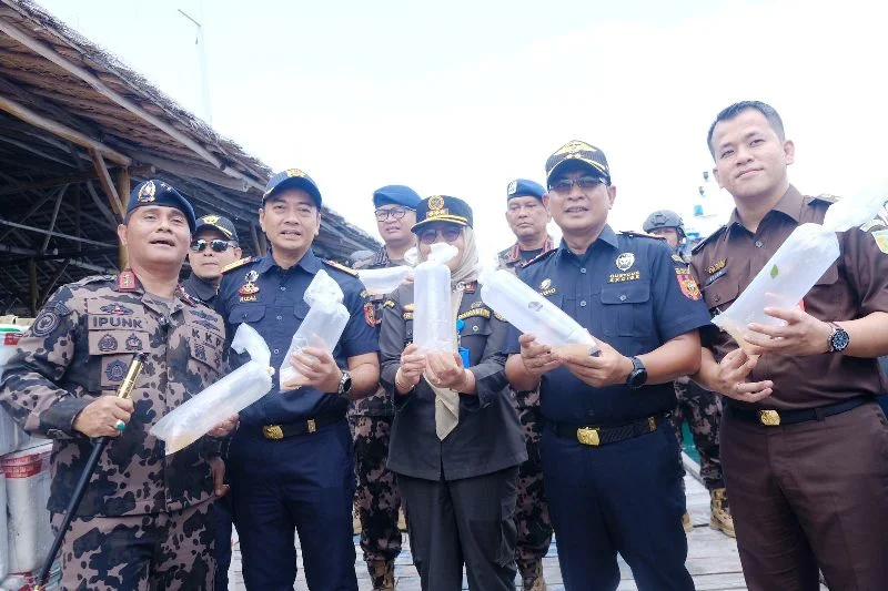 Bea Cukai Batam Gagalkan Penyelundupan Benih Lobster  dengan Potensi Kerugian Negara 90 Miliar Rupiah