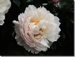 20170615_672
