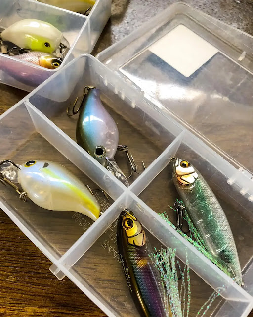 carp-tackle-box-essentials