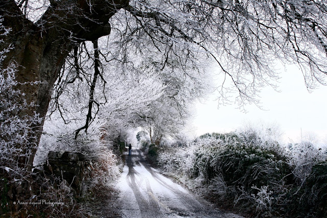 frost and snow on a country road