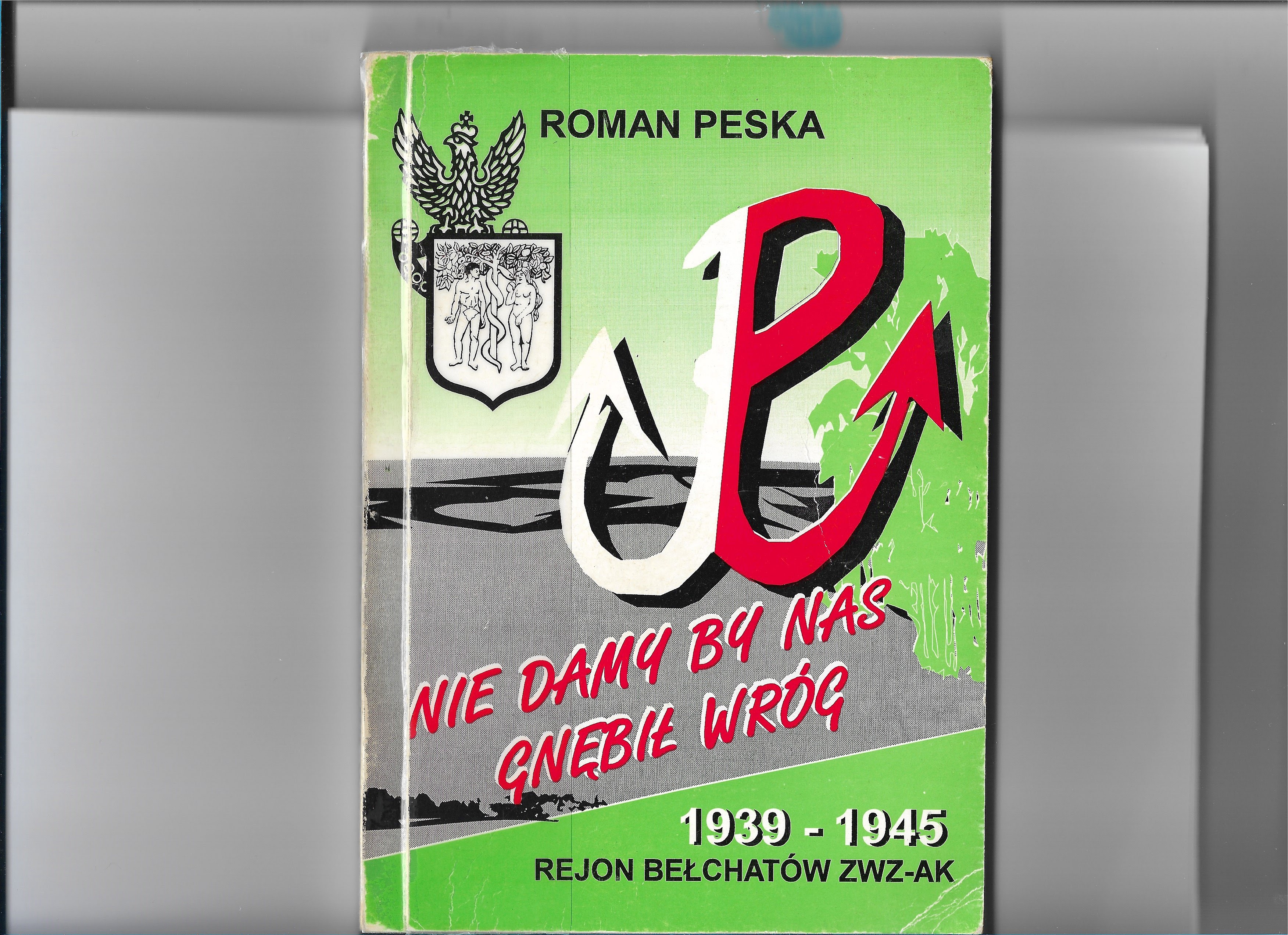 Obraz