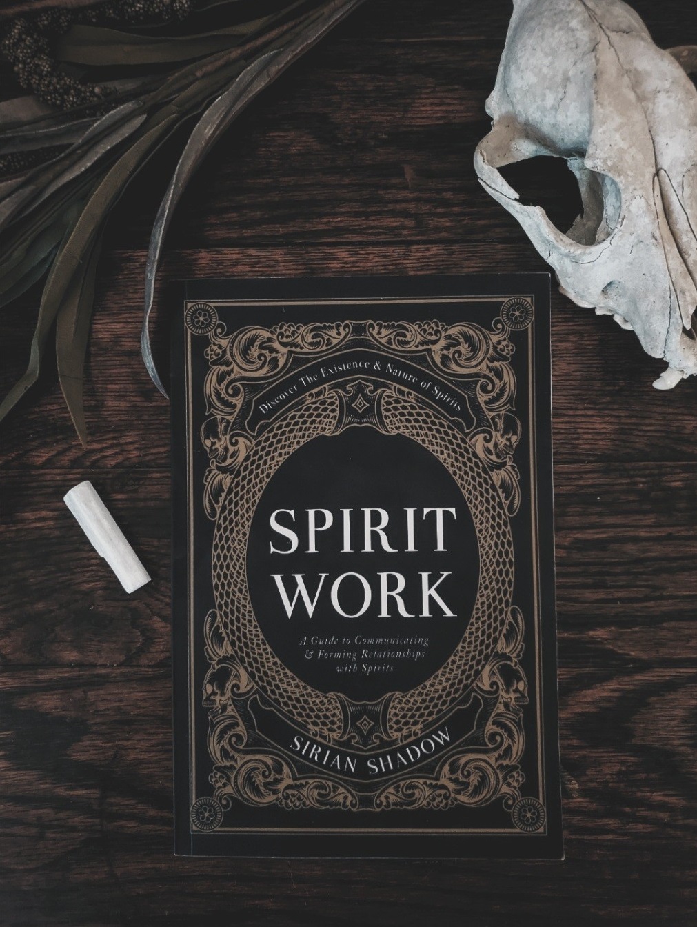 spirit work, spirit communication, spirits, divination, book review, witch, witchcraft, wicca, wiccan, pagan, neopagan, witchy reads, witch book