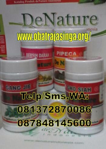  obat kencing nanah amapuh