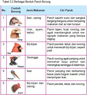 Biologi ADAPTASI MAKHLUK HIDUP