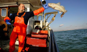 http://www.bbc.co.uk/news/uk-scotland-north-east-orkney-shetland-31940934