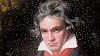Beethoven's DNA Analysis Sheds Light on his Mysterious Death