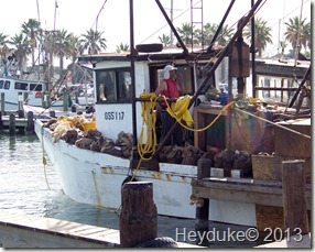 more Rockport area 034
